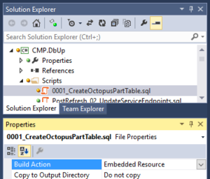 Visual Studio Solution Explorer, Build Action Embedded Resource